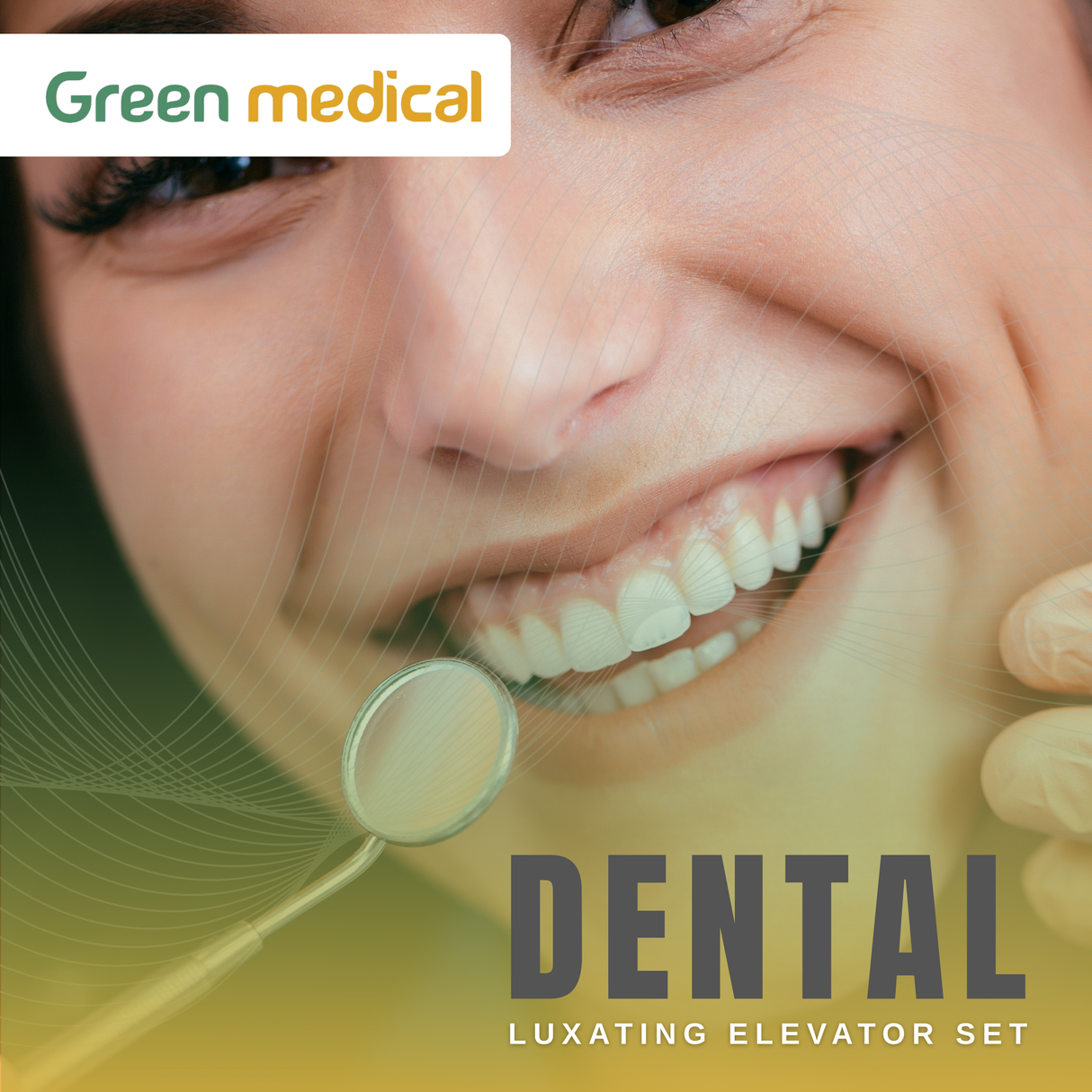 4 Pcs Straight Luxating Elevators Set Oral Dental Instruments German Grade