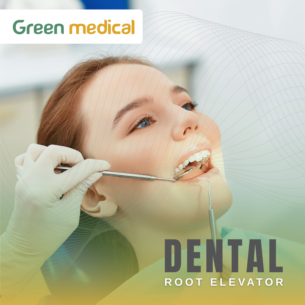 Dental Apical Root Elevators # 77R Periodontal Tooth Extraction German Grade