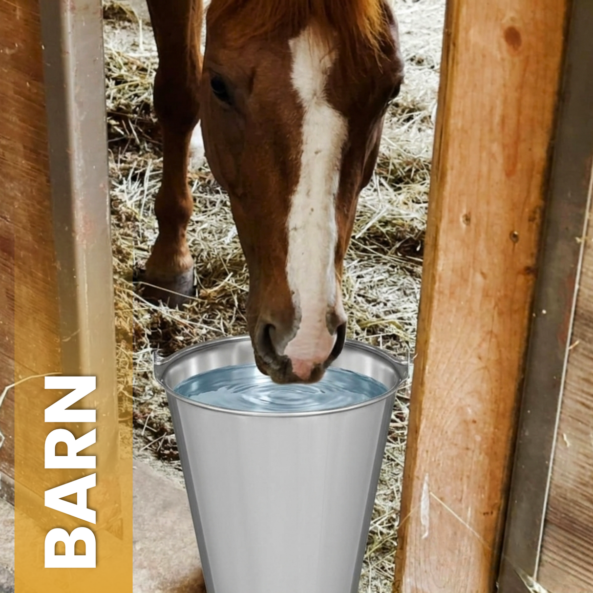 12 Litre Polished Stainless Steel Bucket for Farm, Home & Garage Use