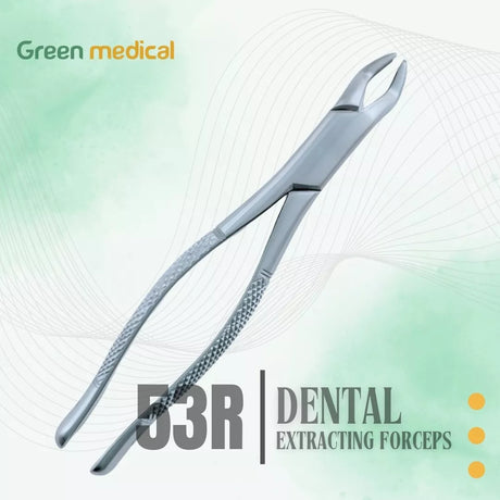 Dental Extracting Forceps # 53 R For Upper 1st & 2nd Molar Extraction