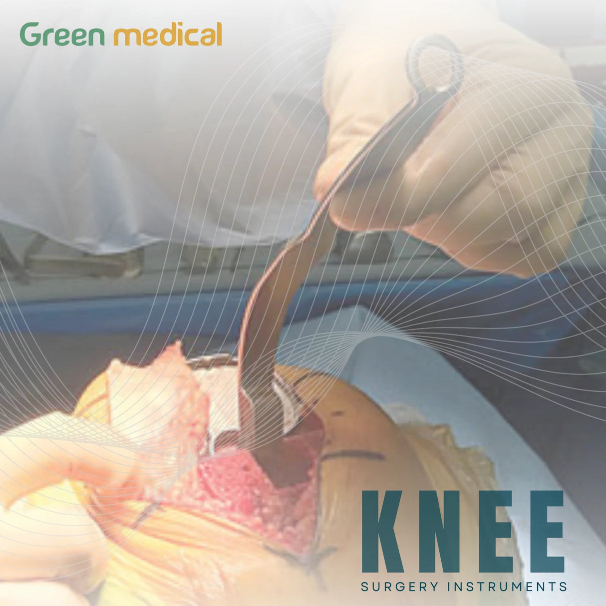 Sherman Patella Tendon Harvest Retractor Orthopedic Knee Surgery Instrument