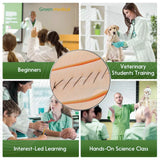 Silicon Suture practice pad G13 with 3 durable skin layers