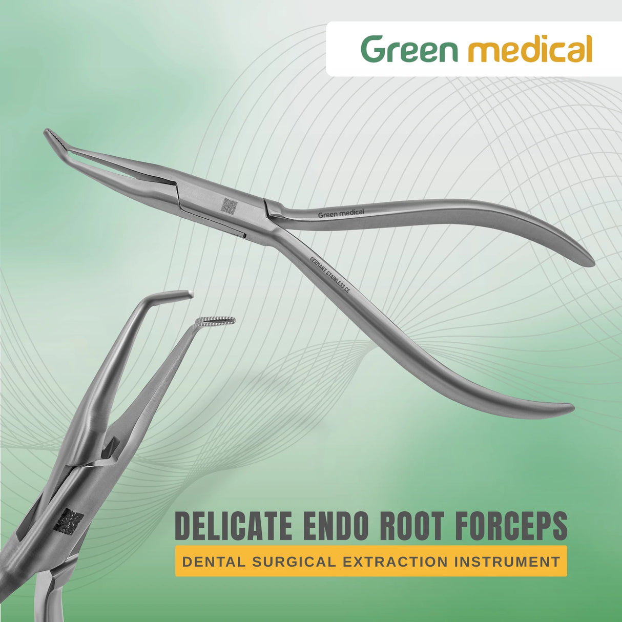 Delicate Endo Root Forceps Dental Surgical Extraction Instrument – German Grade Stainless Steel