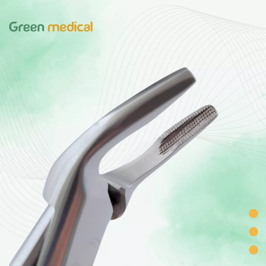 Dental Tooth Extracting Forceps# 150 With Serrated Jaws Premium Quality Instruments